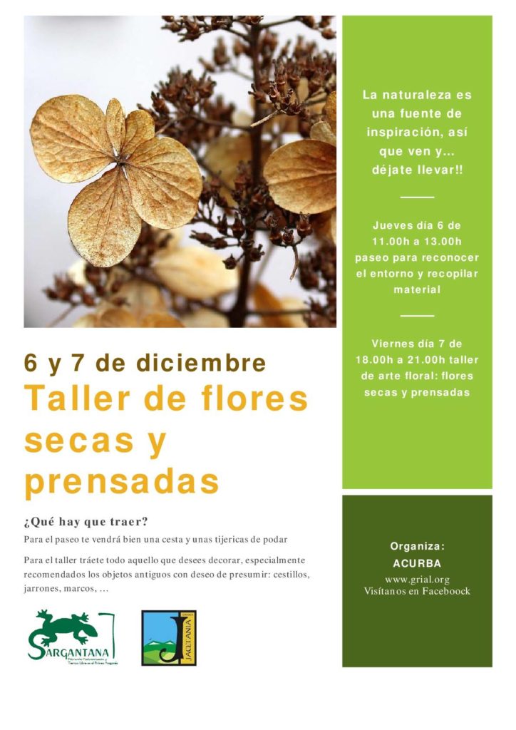 Un taller de arte floral, chocolatada, celebración de San Nicolás y mercadillo de Navidad son las propuestas de para el próximo puente festivo de la Inmaculada y la Constitución.