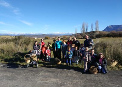 Taller de flores secas y prensadas