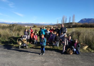 Taller de flores secas y prensadas