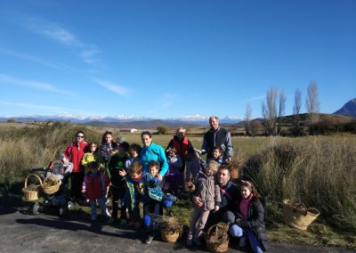 Taller de flores secas y prensadas